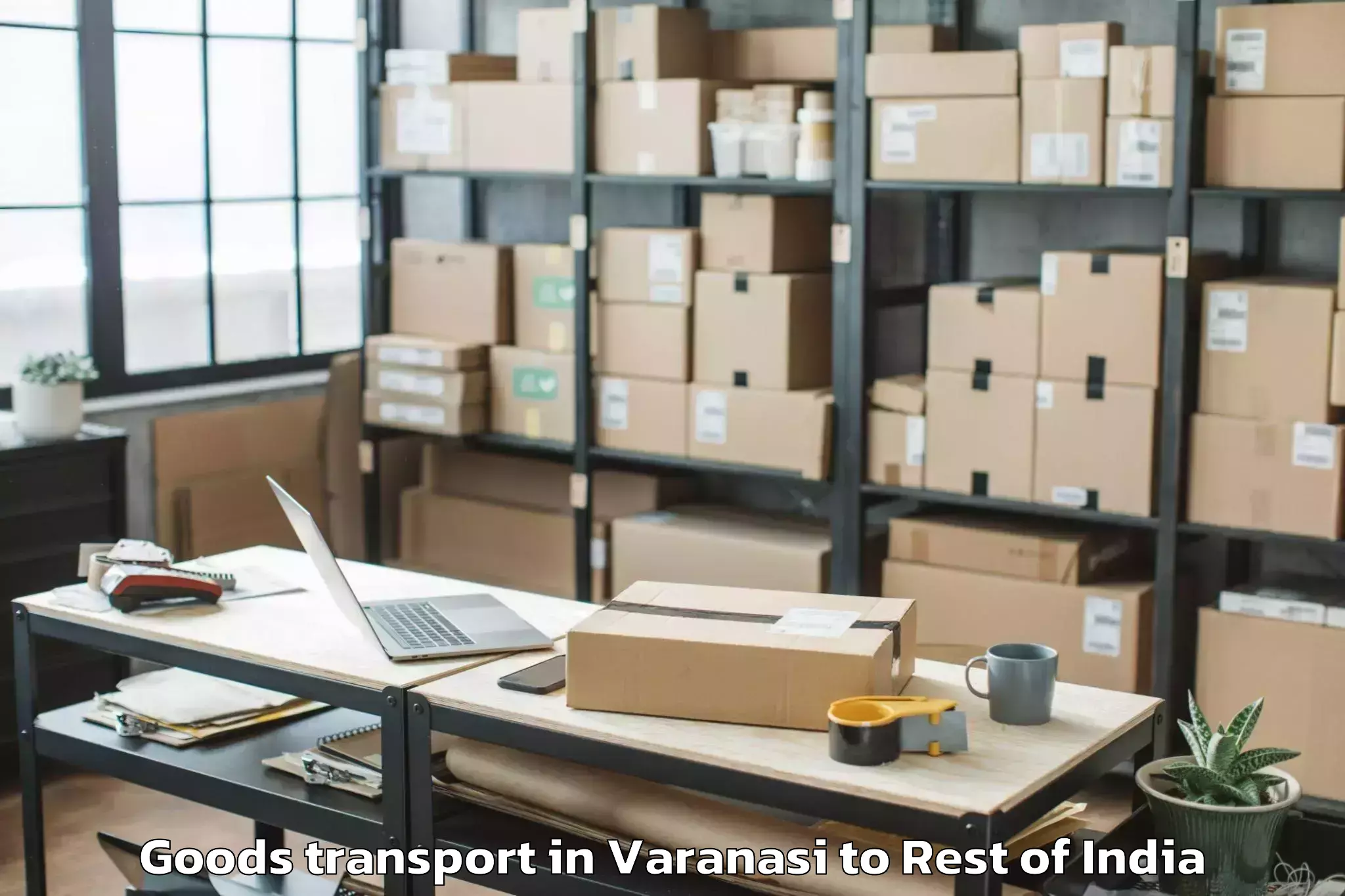 Trusted Varanasi to Bariya Goods Transport